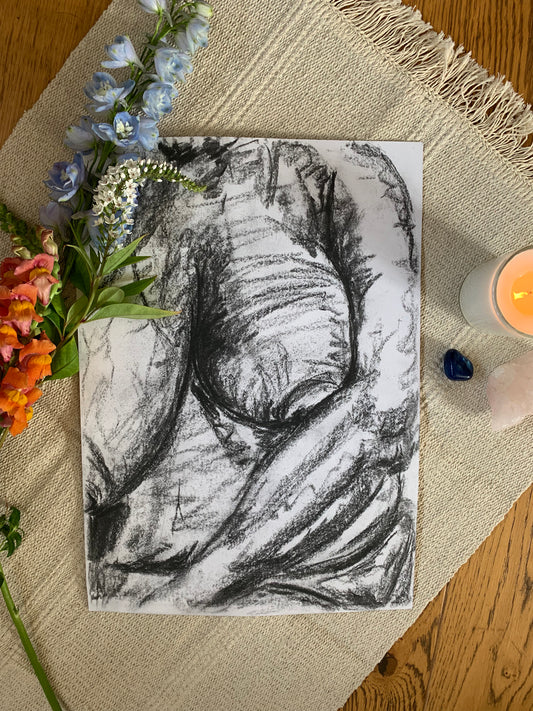 Study No 05 - Charcoal Drawing