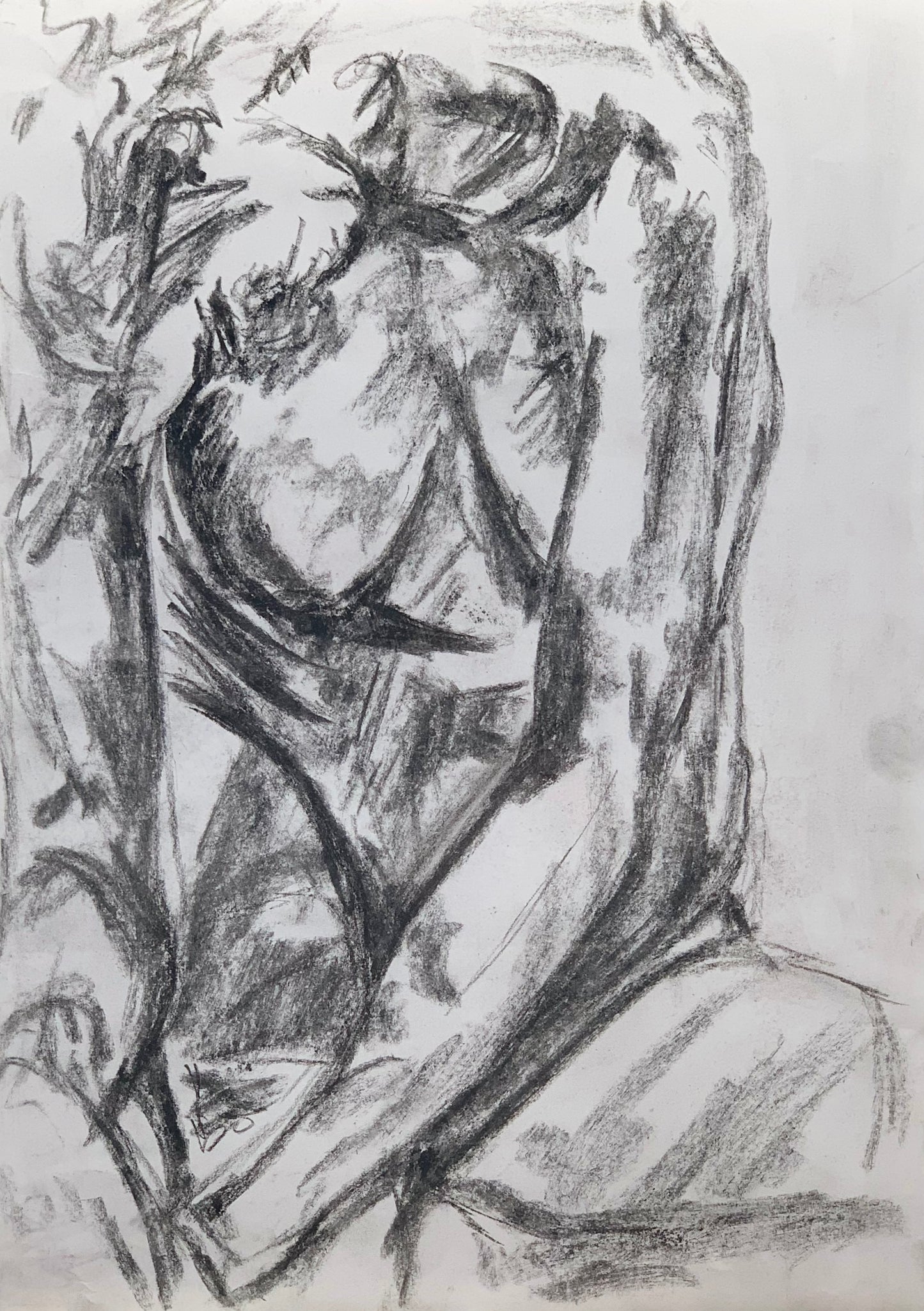 Study No 03 - Charcoal Drawing