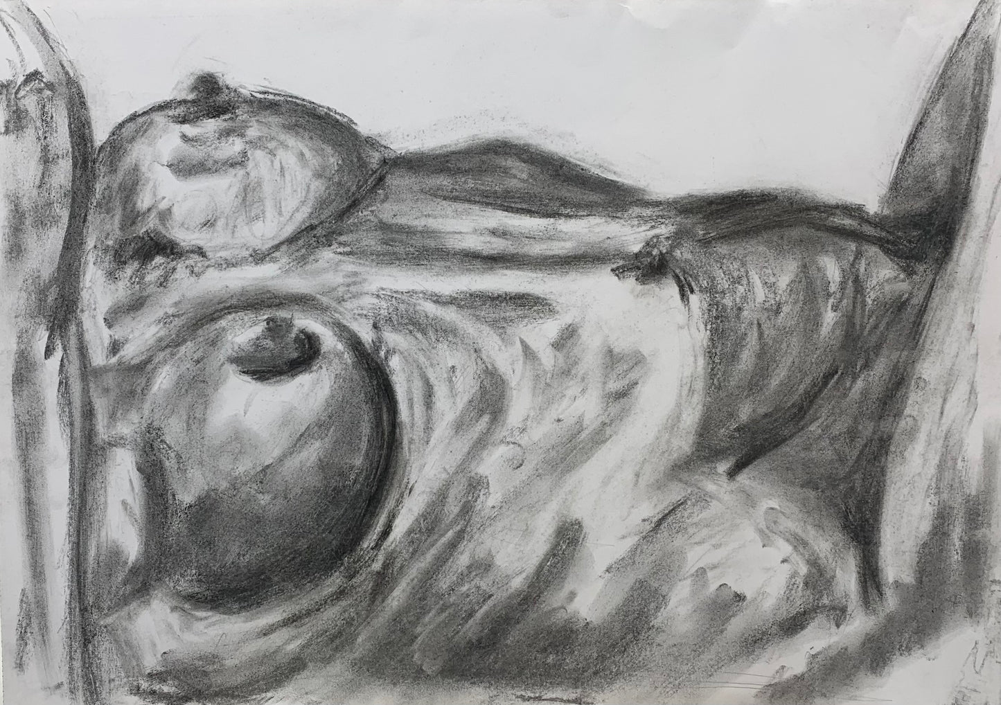 Study No 02 - Charcoal Drawing
