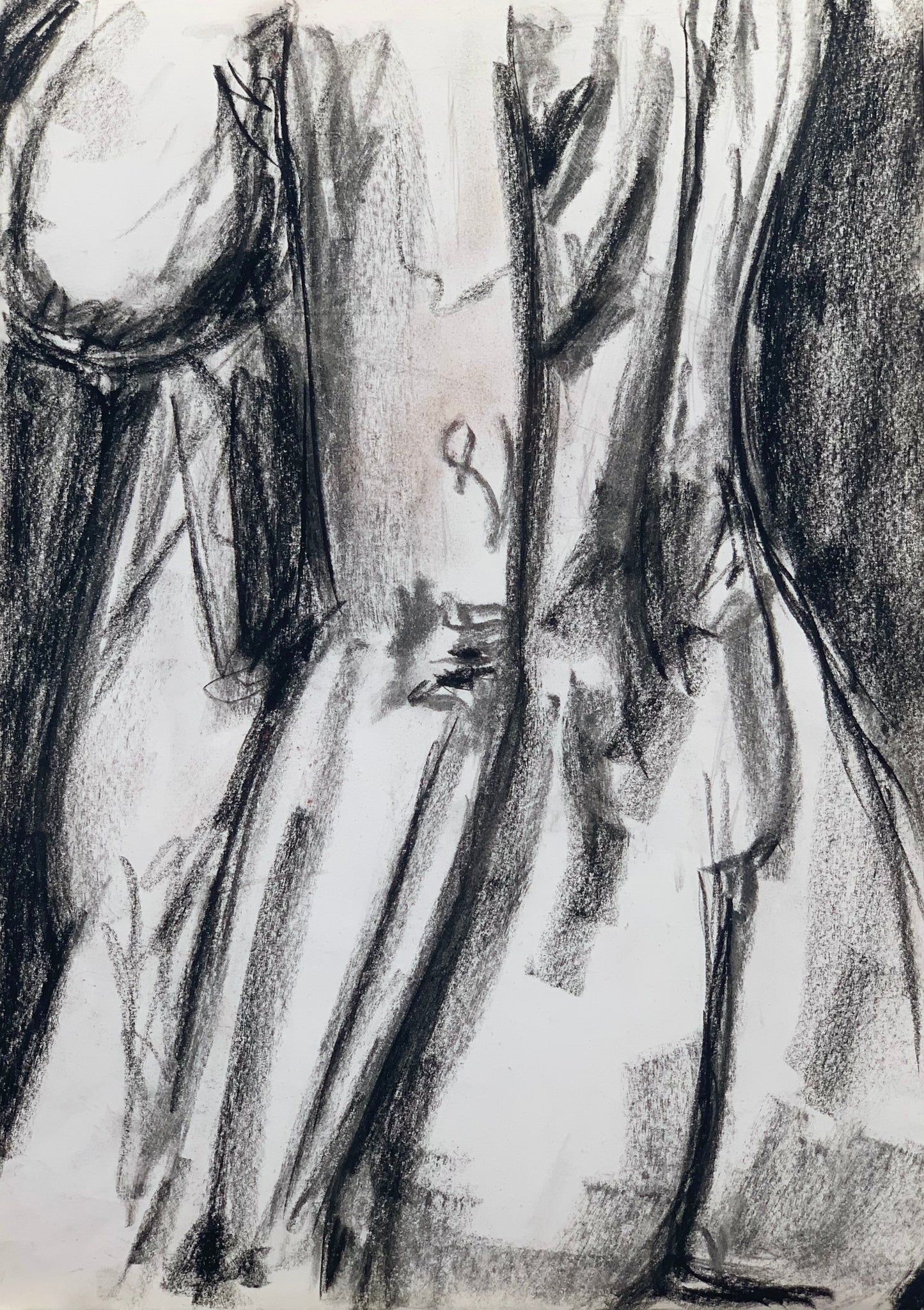 Study No 08 - Charcoal Drawing