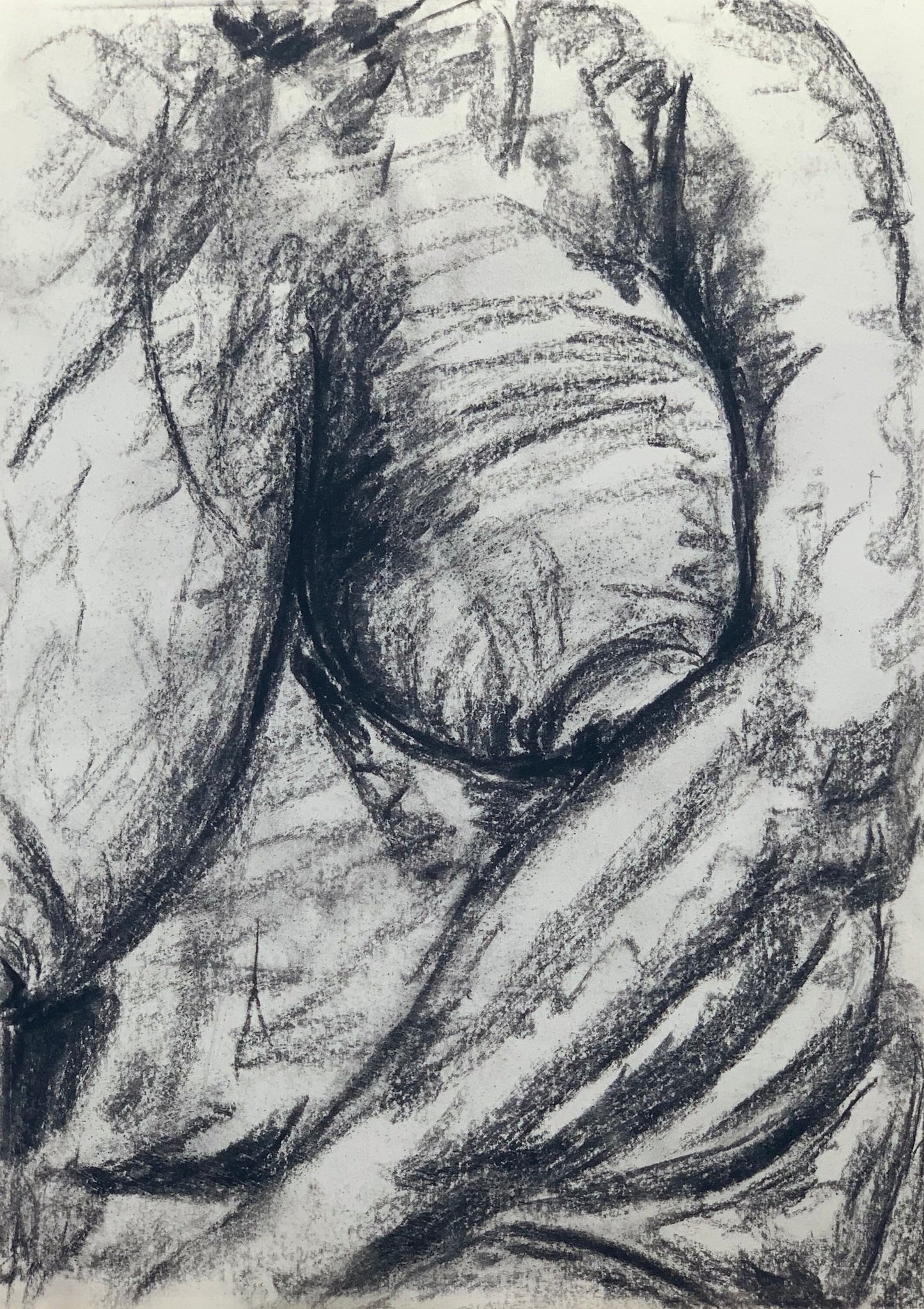 Study No 05 - Charcoal Drawing