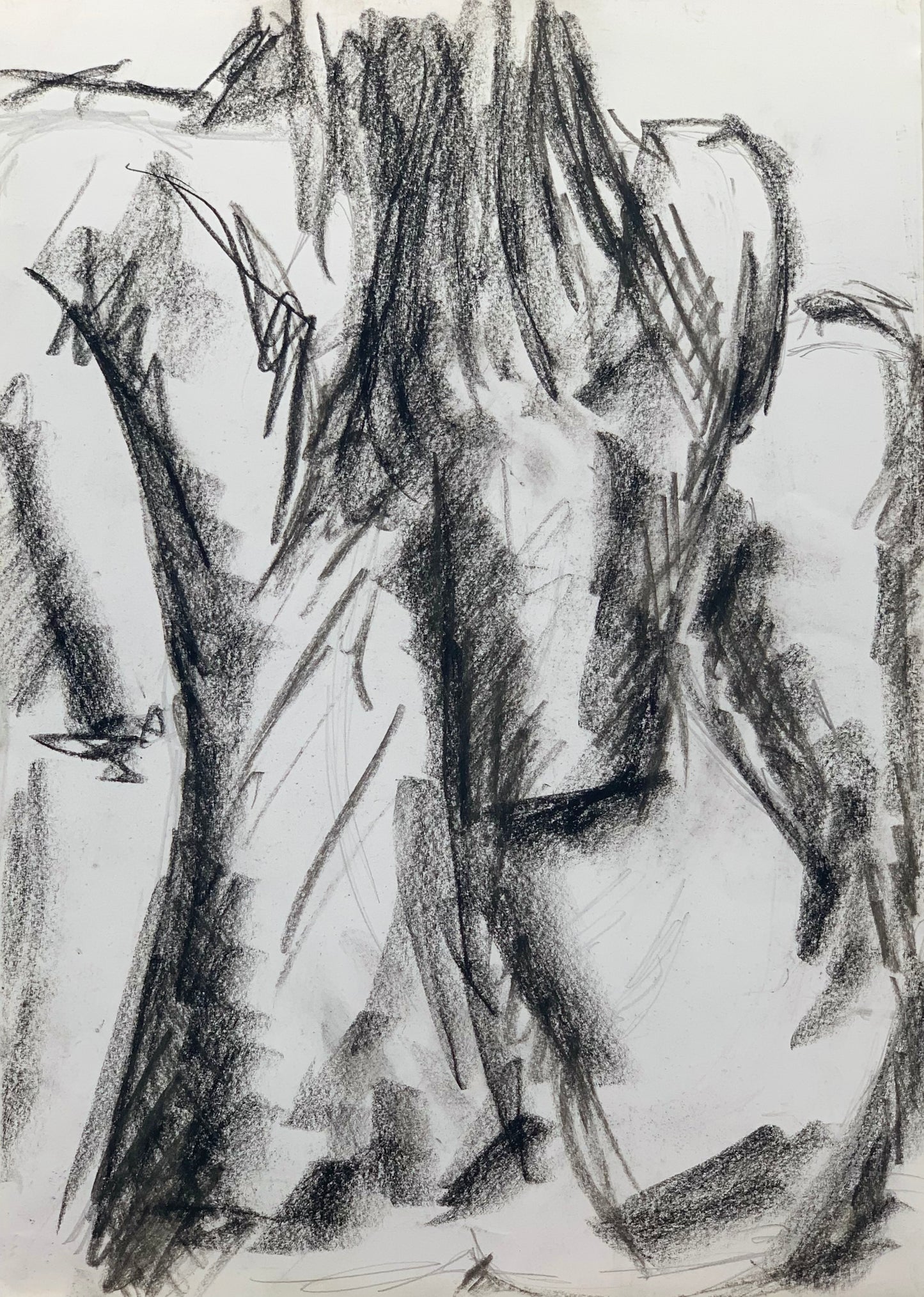 Study No 07 - Charcoal Drawing