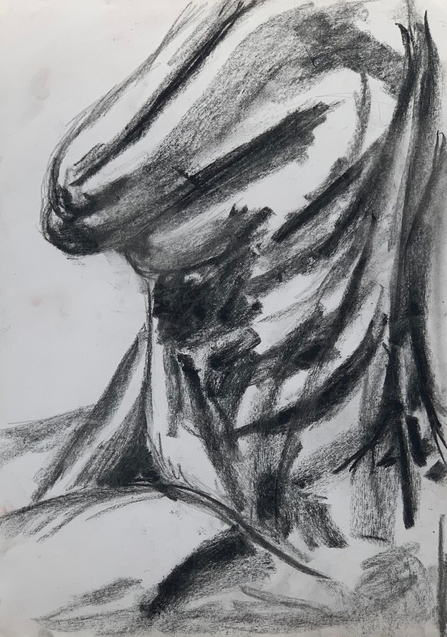 Study No 06 - Charcoal Drawing