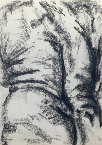 Study No 04 - Charcoal Drawing