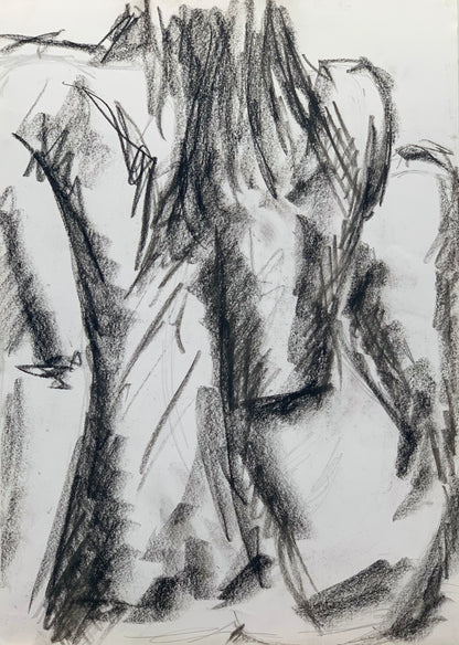 Study No 07 - Charcoal Drawing