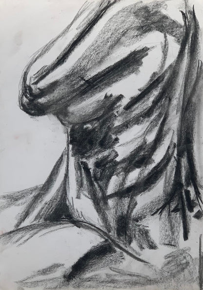 Study No 06 - Charcoal Drawing